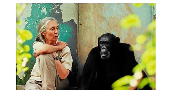 Beauty Disrupted soutient le Jane Goodall Institute