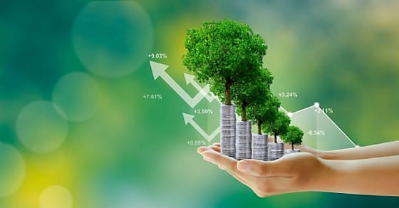 Businessman hand holding step of coins stacks with tree growing on top in nature