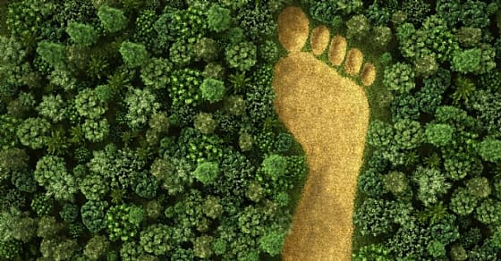 5 questions autour de la taxonomie verte et de la finance durable