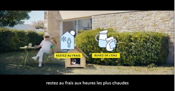 Canicule : Santé Publique France lance l'alerte avec Babel