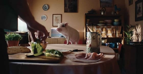 [La Créa de la semaine]    