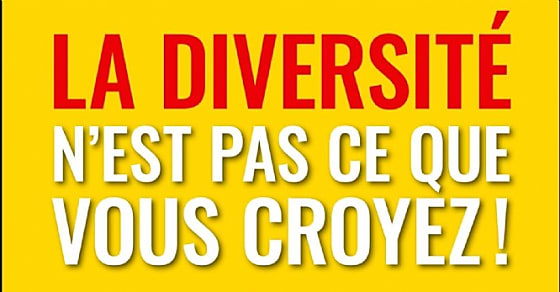 Olivier Sibony « On ne prend pas de bonnes décisions seul »