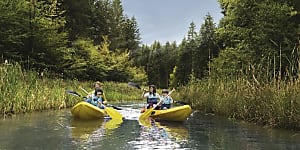 Reconnaissance client : comment le secteur du tourisme s’est-il réinventé ?