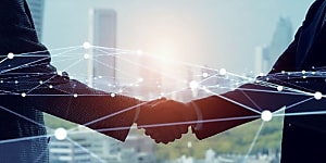 Distributeurs et Service Export : Une Alliance Gagnante