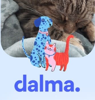 Dalma se mobilise contre l'abandon des animaux